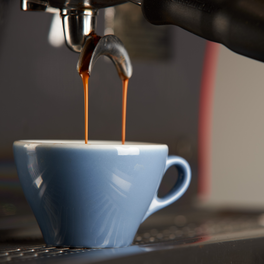 Spotlight on Environment